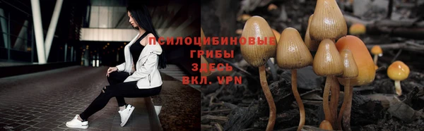 меф Беломорск
