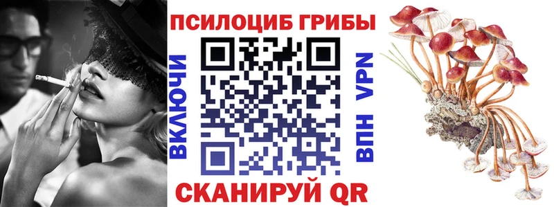 Галлюциногенные грибы Magic Shrooms  закладки  Горячеводский 